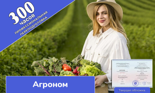миниатюра курса
