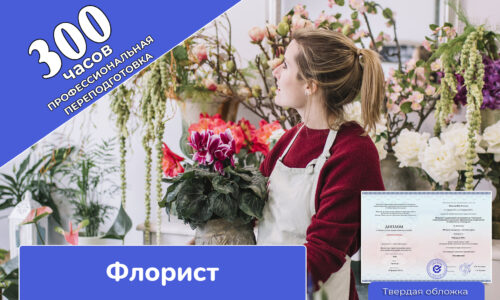 миниатюра курса