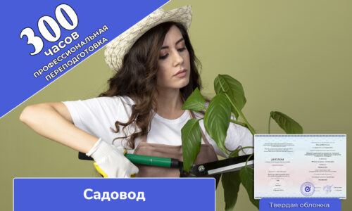 миниатюра курса